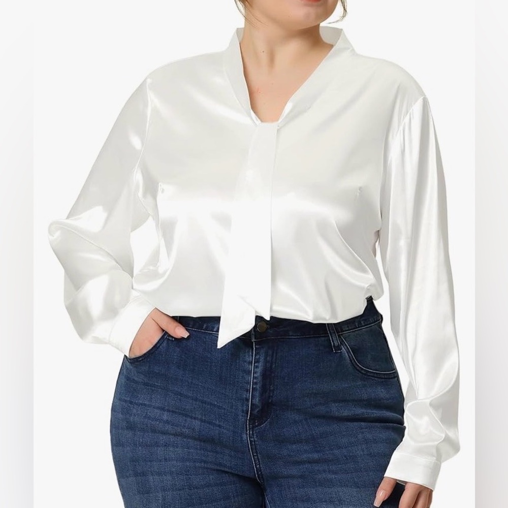 Agnes Orinda Plus Size Work Office Tie Neck Satin Top Blouses，Size 2X
